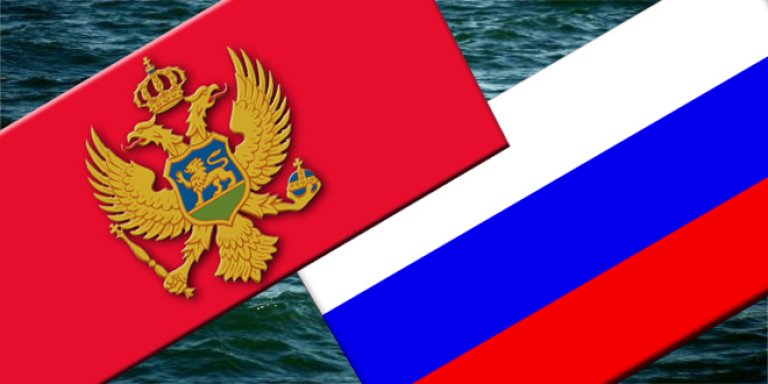 Встреча Чрезвычайного и Полномочного Посла Черногории в России Рамиза Башича с Президентом «Союза женщин-врачей России» профессором О.В. Гончаровой